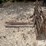 skid-steer-fork-attachment-image-6