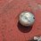 fuel-transfer-tank-w/pump-image-15