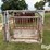 manual-livestock-chute-image-4