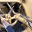 #2038-•-cat-e240b-image-19