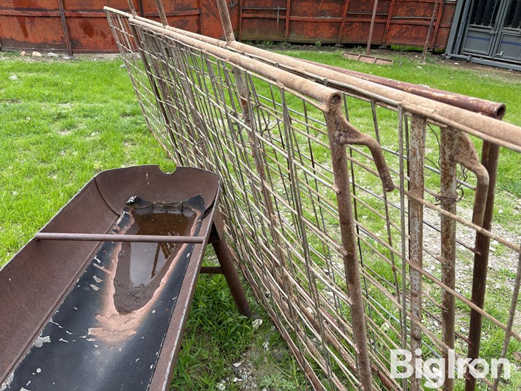 cattle-panel-w/insert-image-6