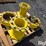 john-deere-30-image-5