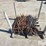 rebar-corners-image-2
