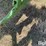 1956-john-deere-2-image-19