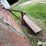 dearborn-19-5-image-5
