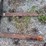 #2028-•-forklift-image-16