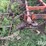 11'6"-field-cultivator-image-13