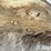 manure-tire-scraper-image-20