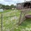 cattle-panel-w/insert-image-4