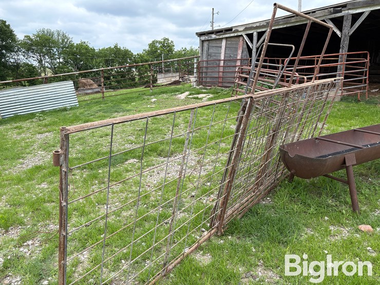 cattle-panel-w/insert-image-4