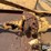 rhino-sat7-image-18