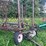 #2051-•-pasture,-harrow-image-5