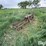 steel-13.5’-3-pt-harrow/drag-image-3