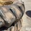 john-deere-4430-image-12