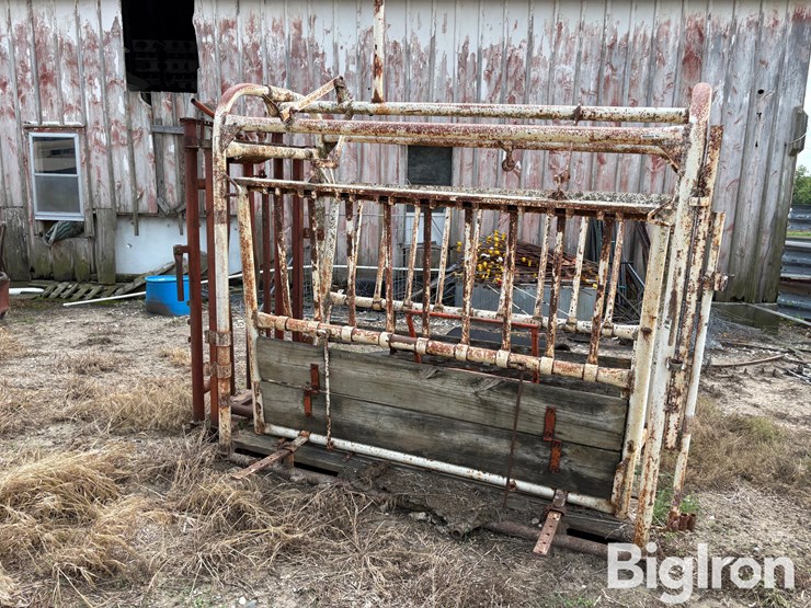 livestock-chute-image-9