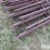 24'-continuous-6-bar-fencing-image-10