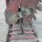 razorback-power-screed-image-9