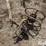 wire-jenny-image-5