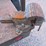 miller-bobcat-225-image-17