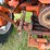 allis-chalmers-ca-image-17