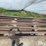 cattle-guard-image-13