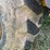 jcb-407-image-33