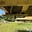 2000-cps-dump-image-18