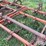 11'6"-field-cultivator-image-11