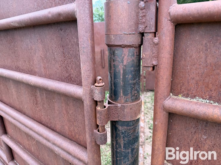 livestock-working-tub-image-14