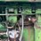 john-deere-4020-image-18