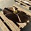 spreader-truck-sprocket-&-spinner-image-2