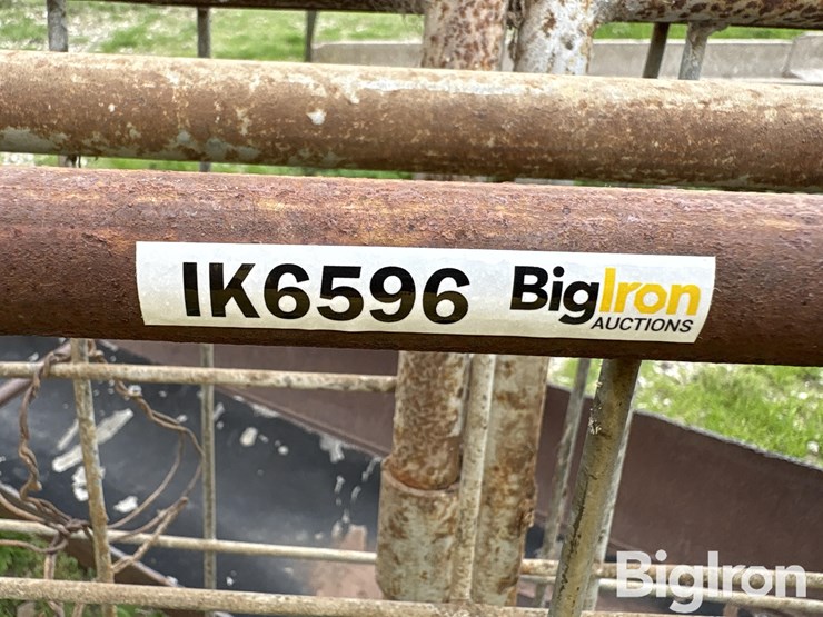 cattle-panel-w/insert-image-7