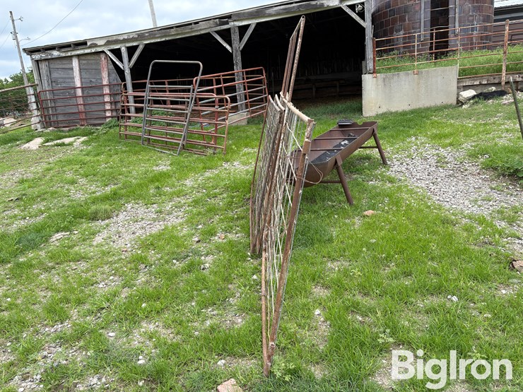 cattle-panel-w/insert-image-3