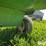 john-deere-10-image-11