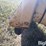 new-holland-269-image-20