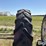 miller-sprayer-wheels-&-380/90r46-tires-image-19