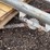 #2835-•-wall-jacks-image-4