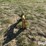 field-master-3-pt-quick-hitch-image-8