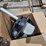 #8-•-wppo-18v-rechargeable-ash-vacuum-image-4