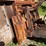 jcb-407-image-12
