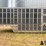 2005-barrett-livestock-image-9