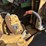john-deere-6410-image-12
