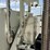 2009-international-workstar-7600-image-22