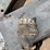 2012-wacker-neuson-g25-image-7