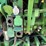 2006-john-deere-7220-image-13