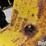 john-deere-rear-wheel-weights-image-8