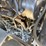 wacker-neuson-wl32-image-43