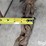 log-chains-image-8
