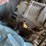 bobcat-743-image-44
