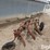 3-bottom-plow-image-4